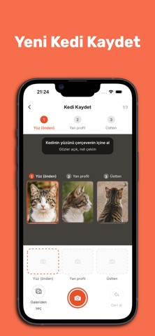 StrayPaw: Street Animals iPhone screenshot 3