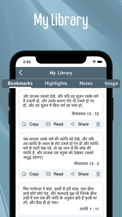Hindi Bible offline screenshot-3