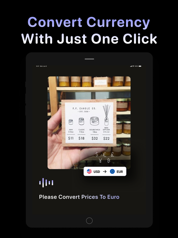 AI Lens - Snap & Ask Anything iPad screenshot 8 - Productivity app