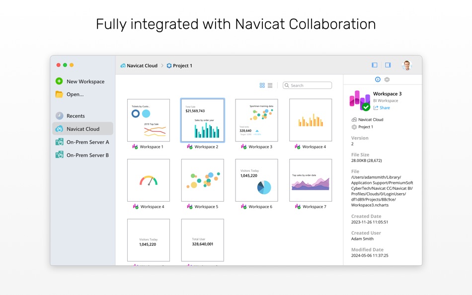 #7. Navicat BI (macOS) 由: PremiumSoft CyberTech Ltd.