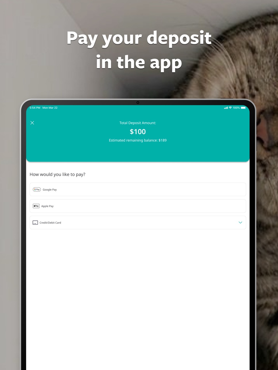 iPad screenshot