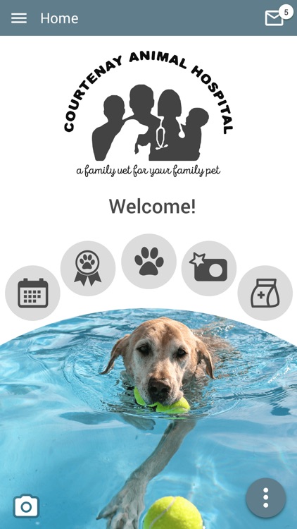 Courtenay Animal Hospital