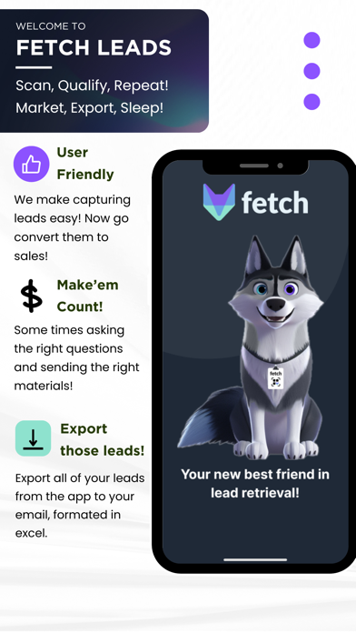 Fetch Leads Screenshot