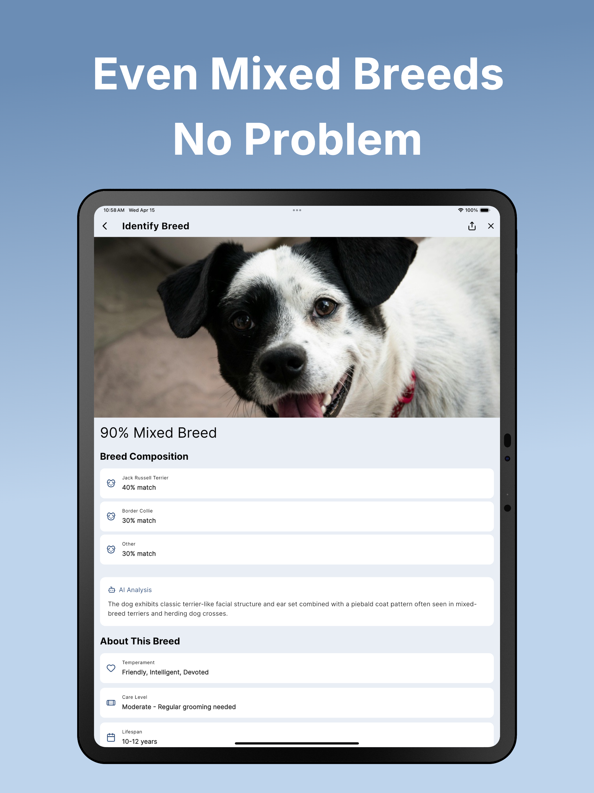 Dog Breed Identifier: DogLens