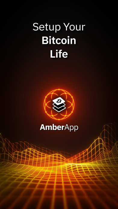 AmberApp 2.0 Screenshot