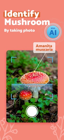 MushroomScan: Photo Identifier Screenshot 1 of 6