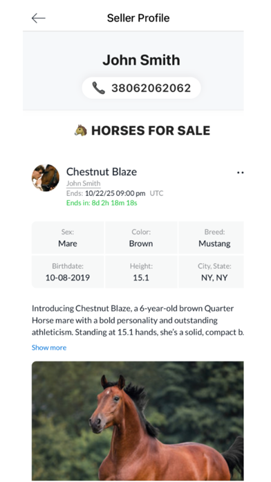 Screenshot 2 of THFY - The Horse For You App