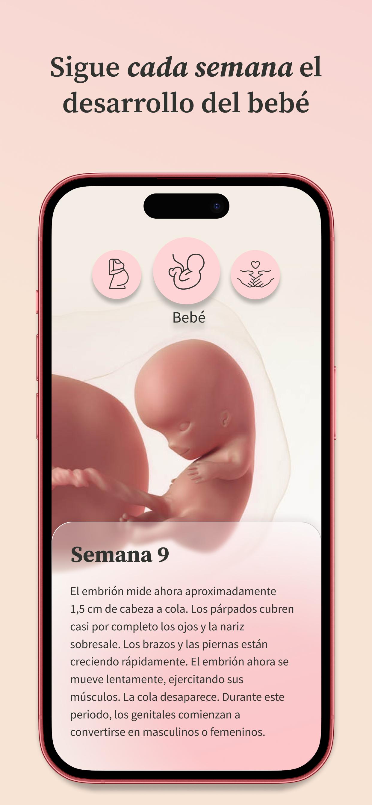 Pregnancy Tracker | Preglife