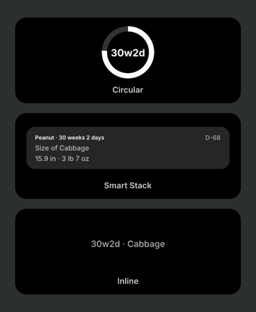 Simple Baby Widget screenshot 7