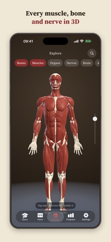 Anatomy Recall: 3D Human Body