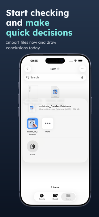 Access Database Viewer: MDB AI Screenshot 6 of 6