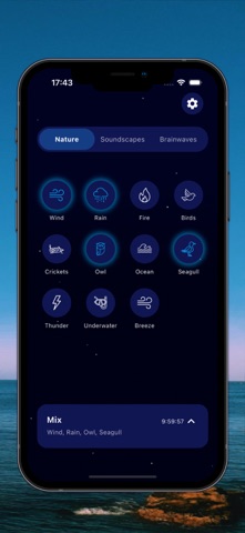 Placid screenshot