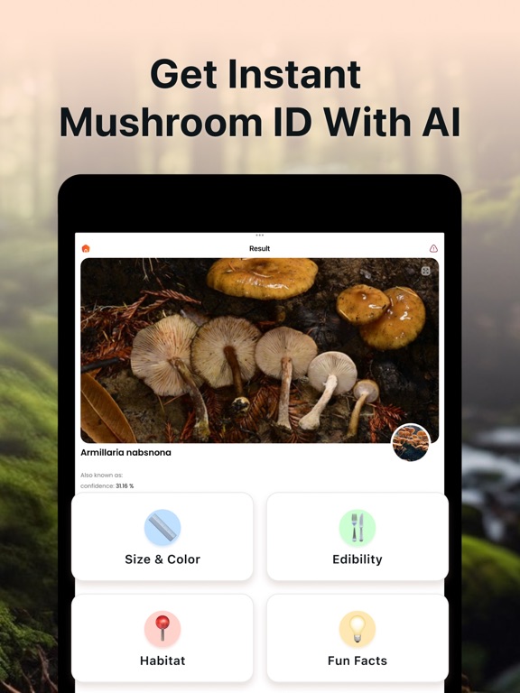 キノコ判定 きのこ図鑑 きのこアプリ Mushroom IDのおすすめ画像3