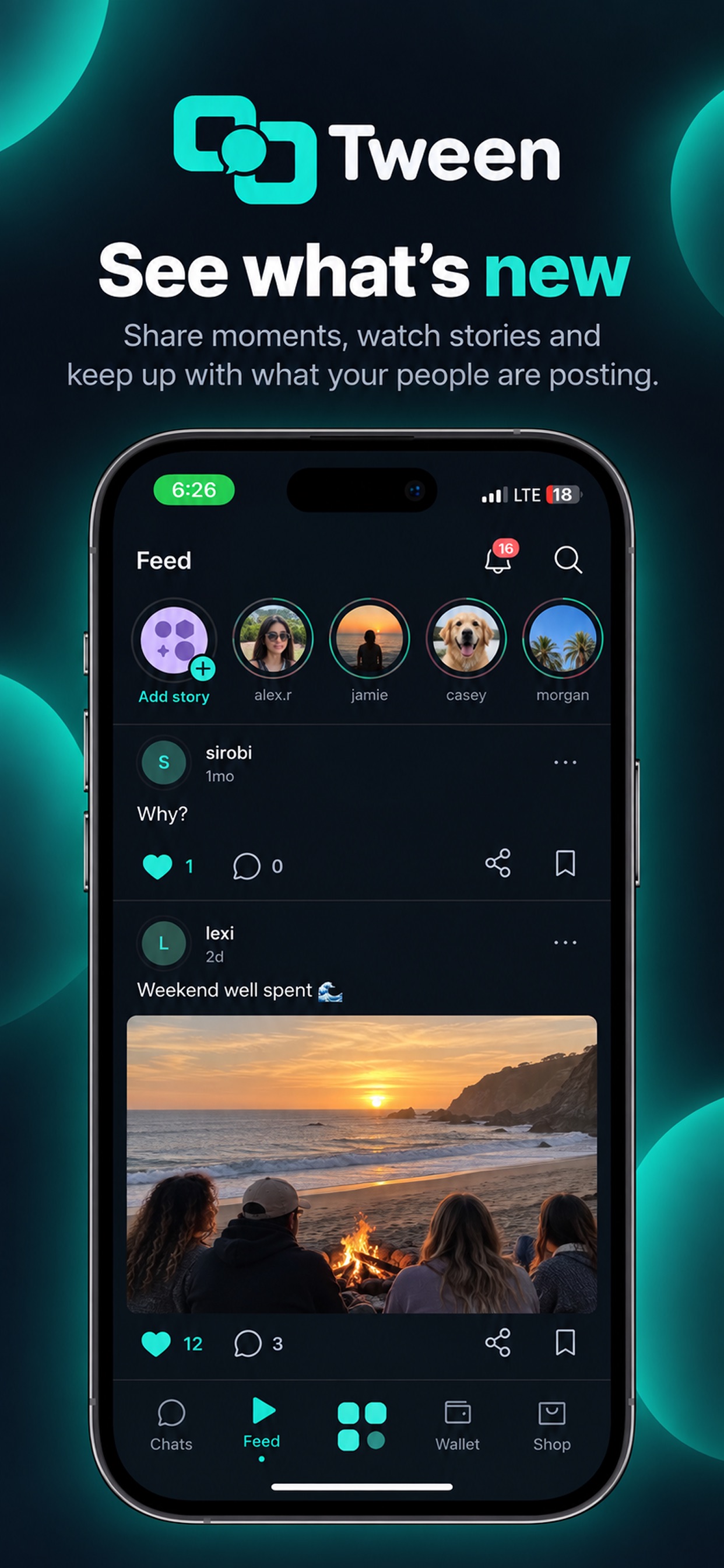 Screenshot 3 of Tween IM