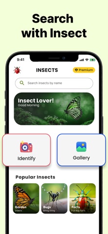 Bug Identifier: Pest Finder Screenshot 2 of 6