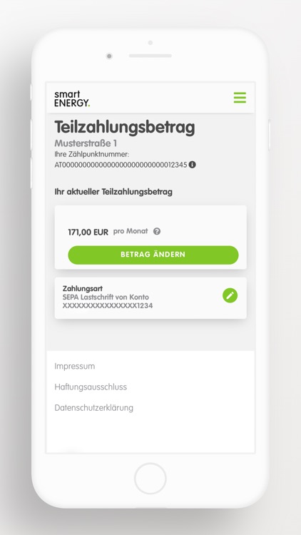 smartENERGY Kundenportal screenshot-6