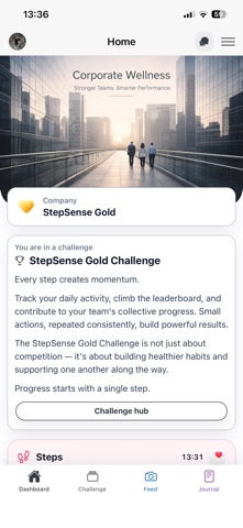 StepSense Gold screenshot