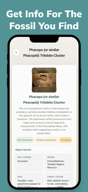 Fossy: Fossil Identifier screenshot 3