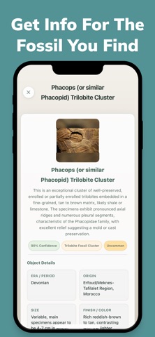 Fossy: Fossil Identifier screenshot