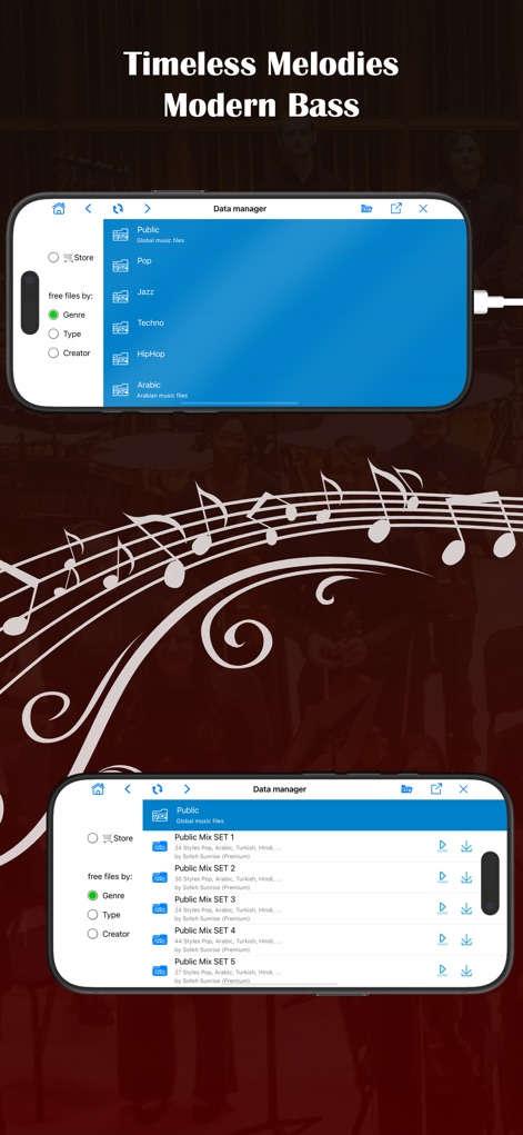 ORG 24: Your Music - Explore ORG 24's robust data manager, where users can browse and import categorized music files and curated Public Mix SETs for diverse genres.