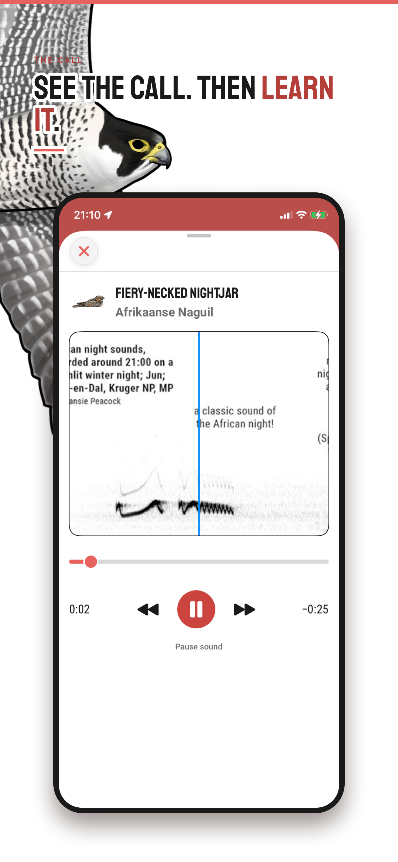 Firefinch screenshot 4