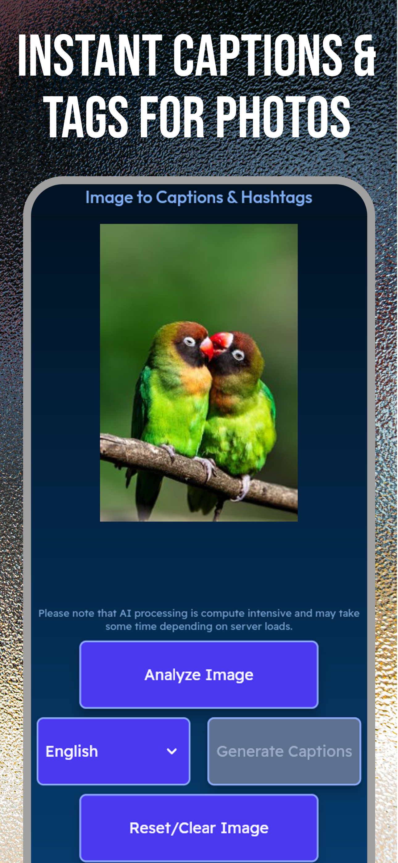 Captions Hashtags for Photos