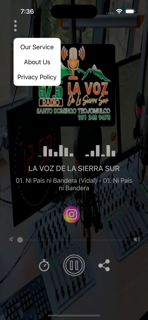 LA VOZ DE LA SIERRA SUR screenshot 2