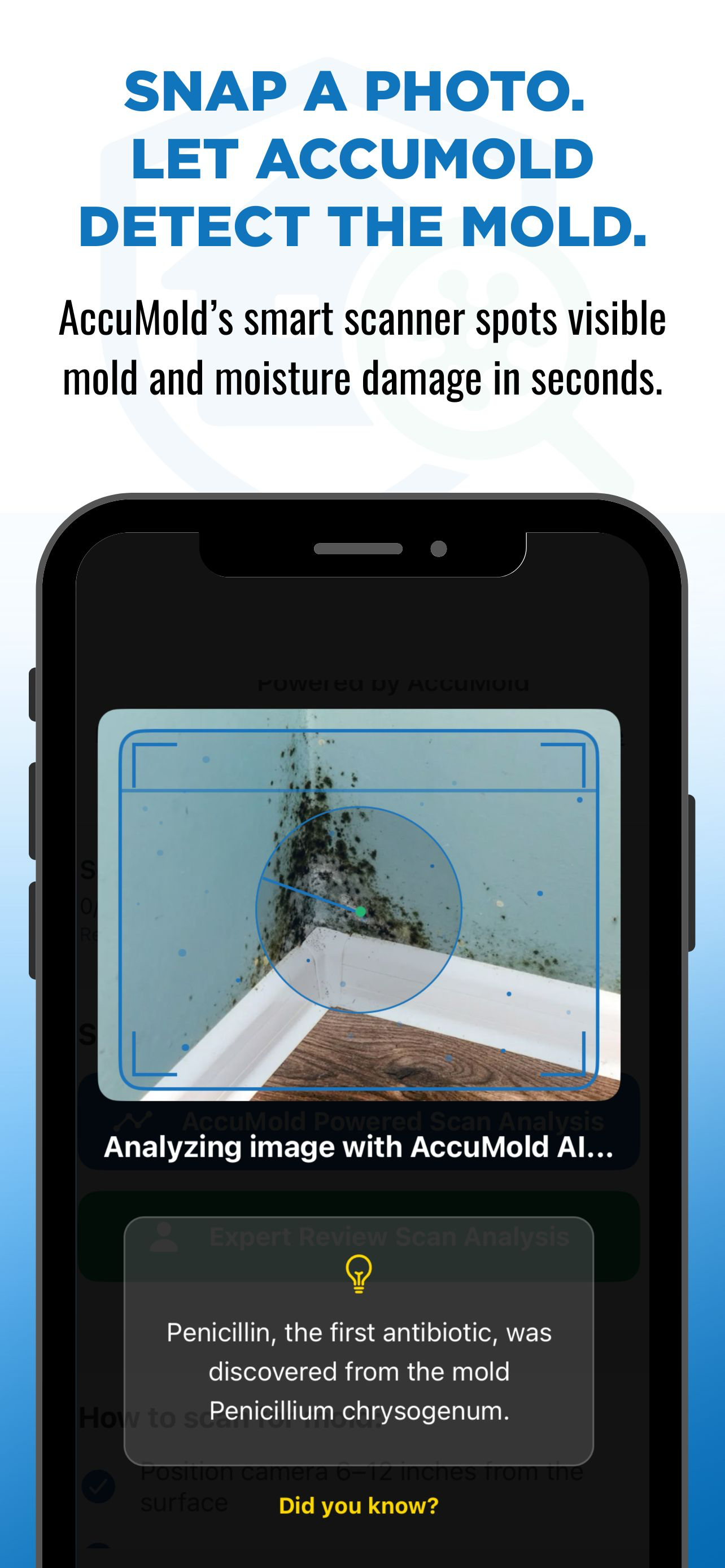 Accumold – AI Mold Detector screenshot 3