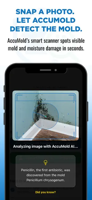 Accumold – AI Mold Detector screenshot 3