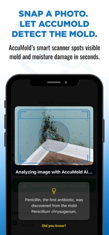 Accumold – AI Mold Detector Screenshot 3 of 7