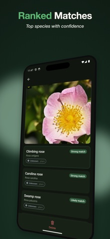 Leafy: Plant & Mushroom ID iPhone screenshot