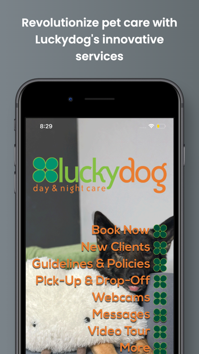 Luckydog Day & Night Care Screenshot