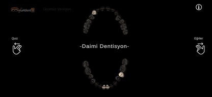 Morfo - Dental Anatomy 3D screenshot 2