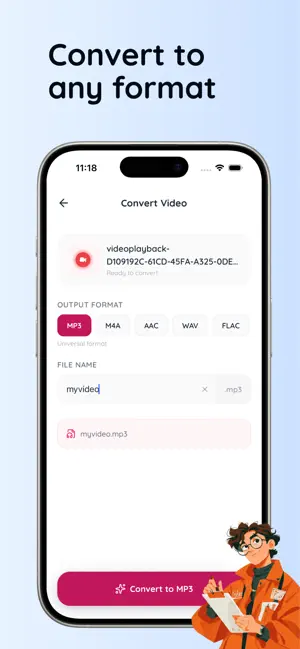 Video to MP3 Audio Conversion screenshot 2