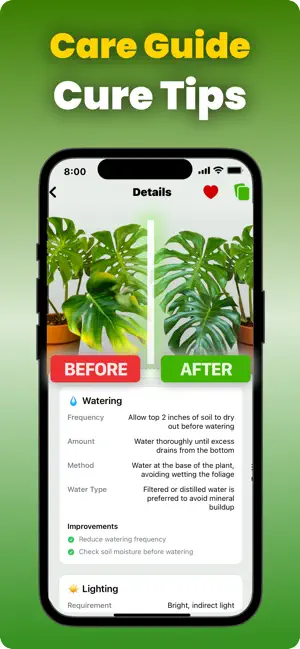 Identify Plants - Floram screenshot 3