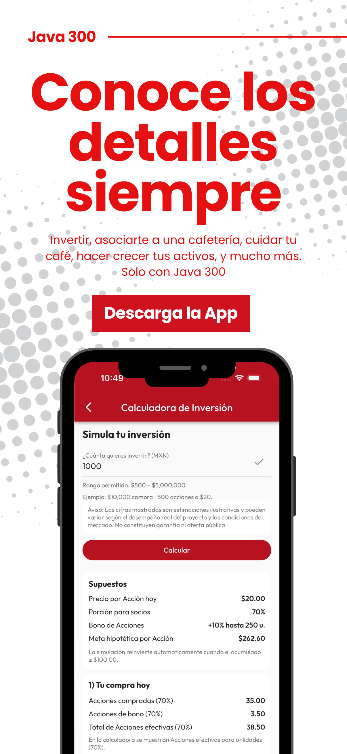 Java 300 - Inversionista