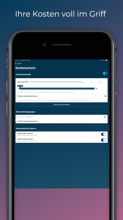 LIWEST Mobil screenshot-3