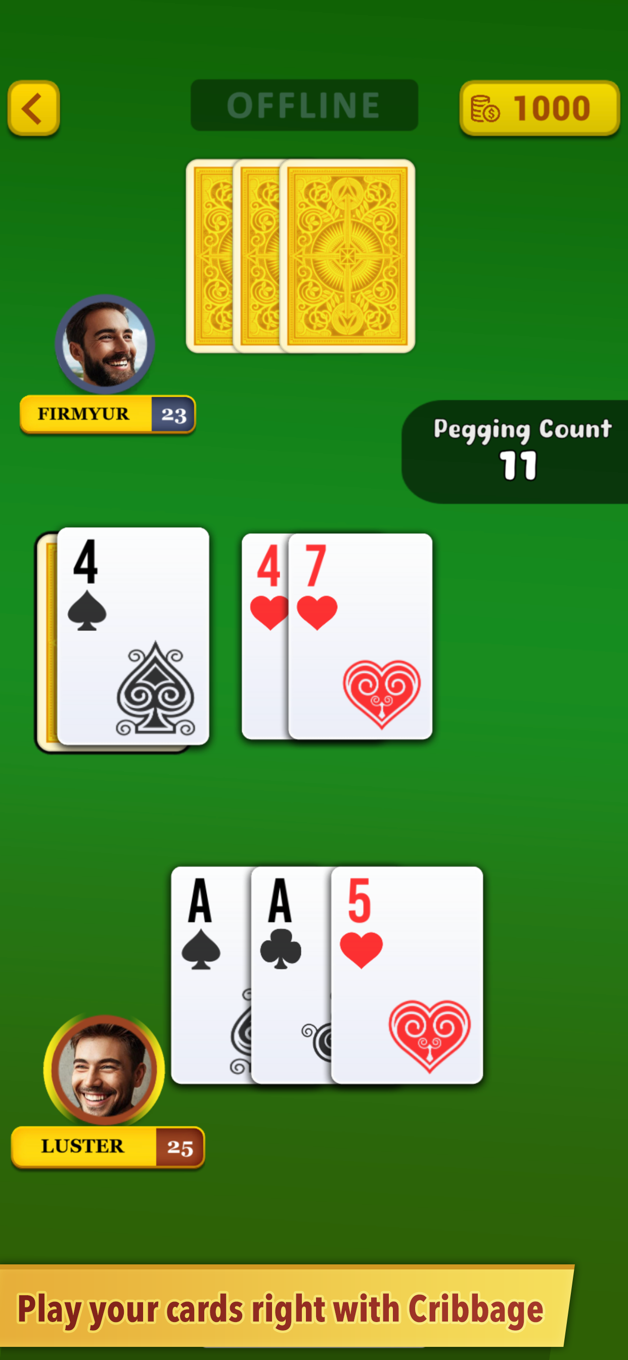 Cribbage ++