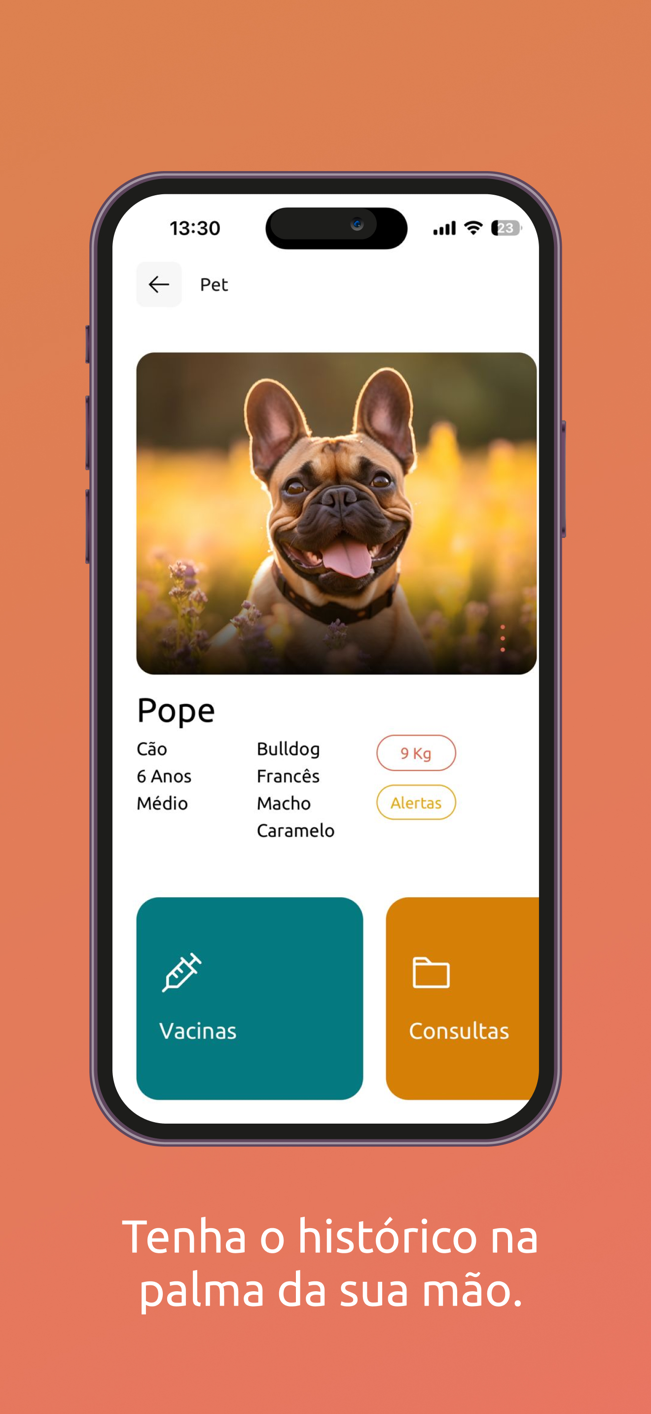 Storypet screenshot 2