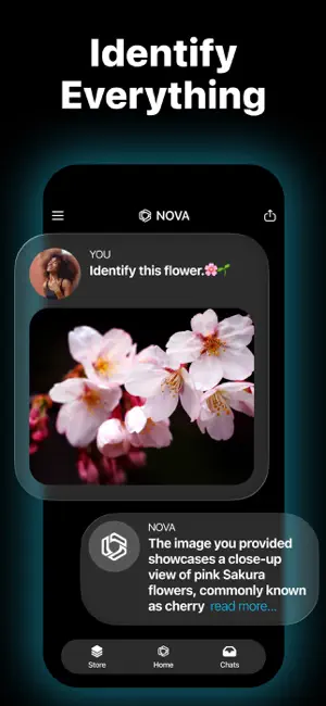 AI Chatbot - Nova iPhone screenshot 6