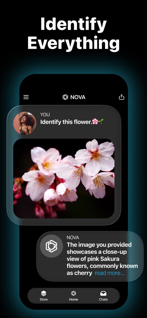 AI Chatbot - Nova - Visual Recognition Mastery