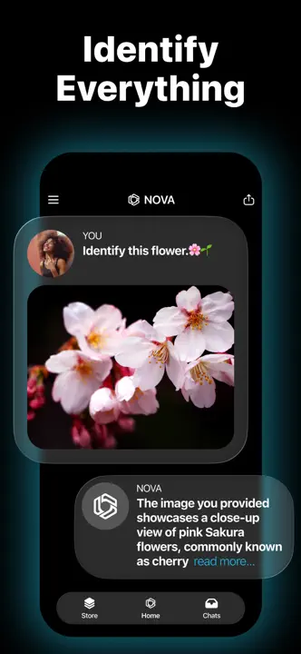 AI Chatbot - Nova: Screenshot 6 von 8