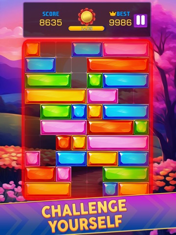 Jewel Block - Sliding Puzzle iPad screenshot