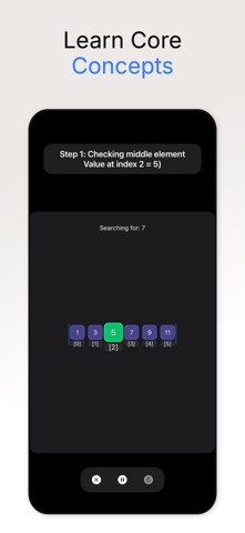 DSA Master - Data & Algorithms iPhone screenshot