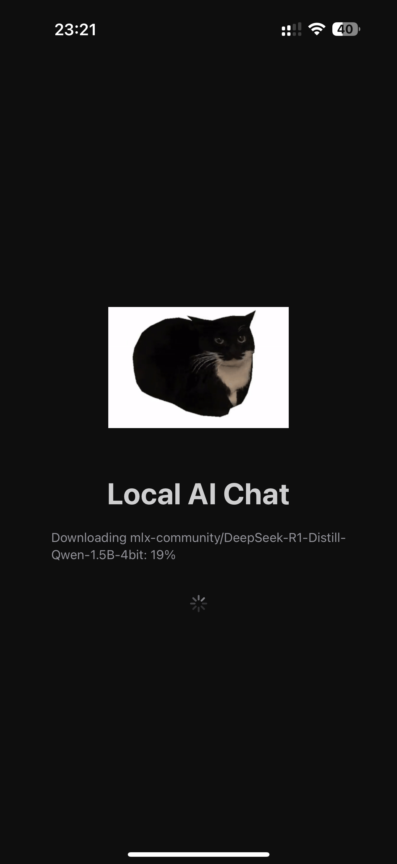 Local AI Chat