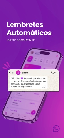 ElaPro screenshot