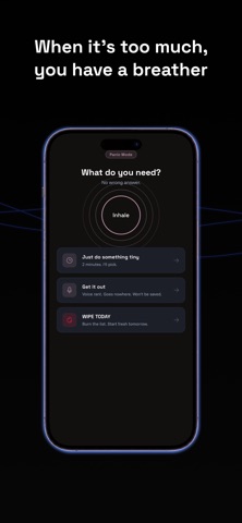 Scatterbrain: ADHD Priority Screenshot 6 of 8