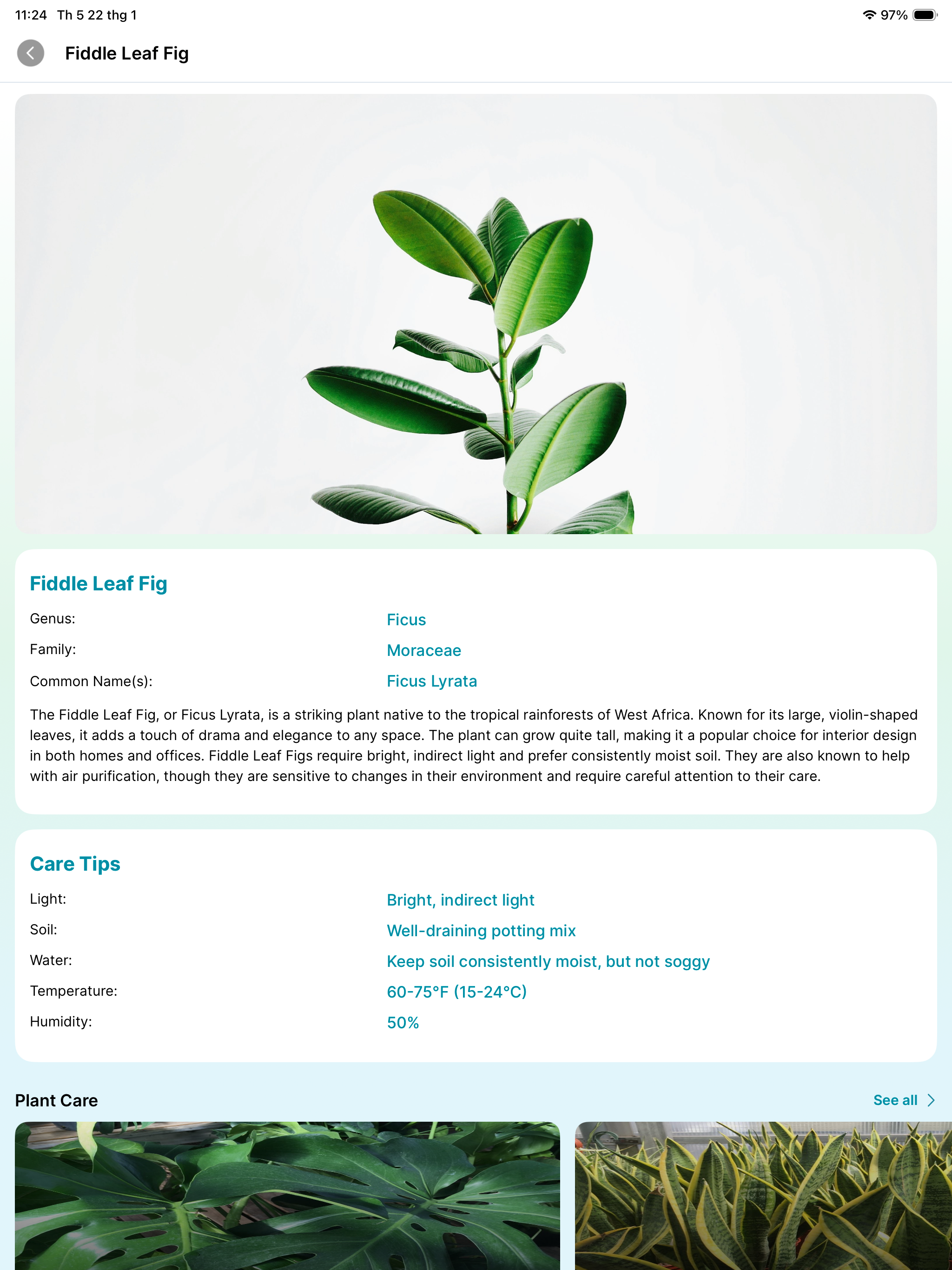 AI Plant Identifier & Scanner