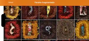 Museo Belas Artes da Coruña screenshot 4