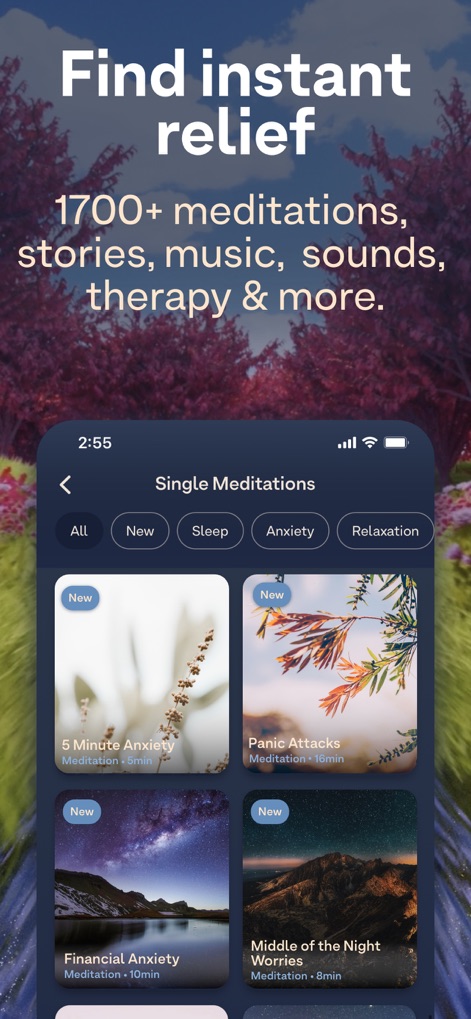 Breethe: Sleep & Meditation - La schermata mostra la vasta gamma di risorse dell'app, con oltre "1700+ meditations" disponibili e una selezione di "Single Meditations" per affrontare specifiche esigenze come l'ansia finanziaria.